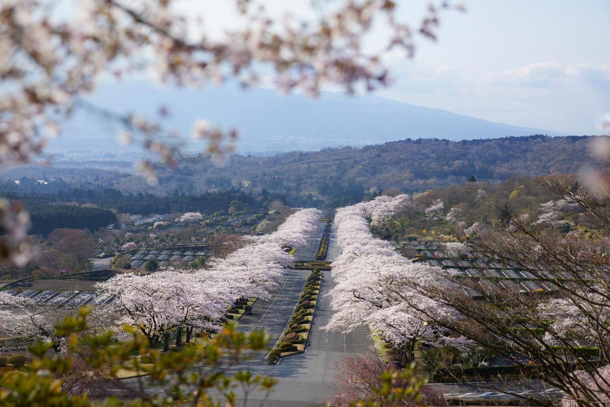 Fuji Speedway Hotel - The Unbound Collection By Hyatt Oyama  Εξωτερικό φωτογραφία