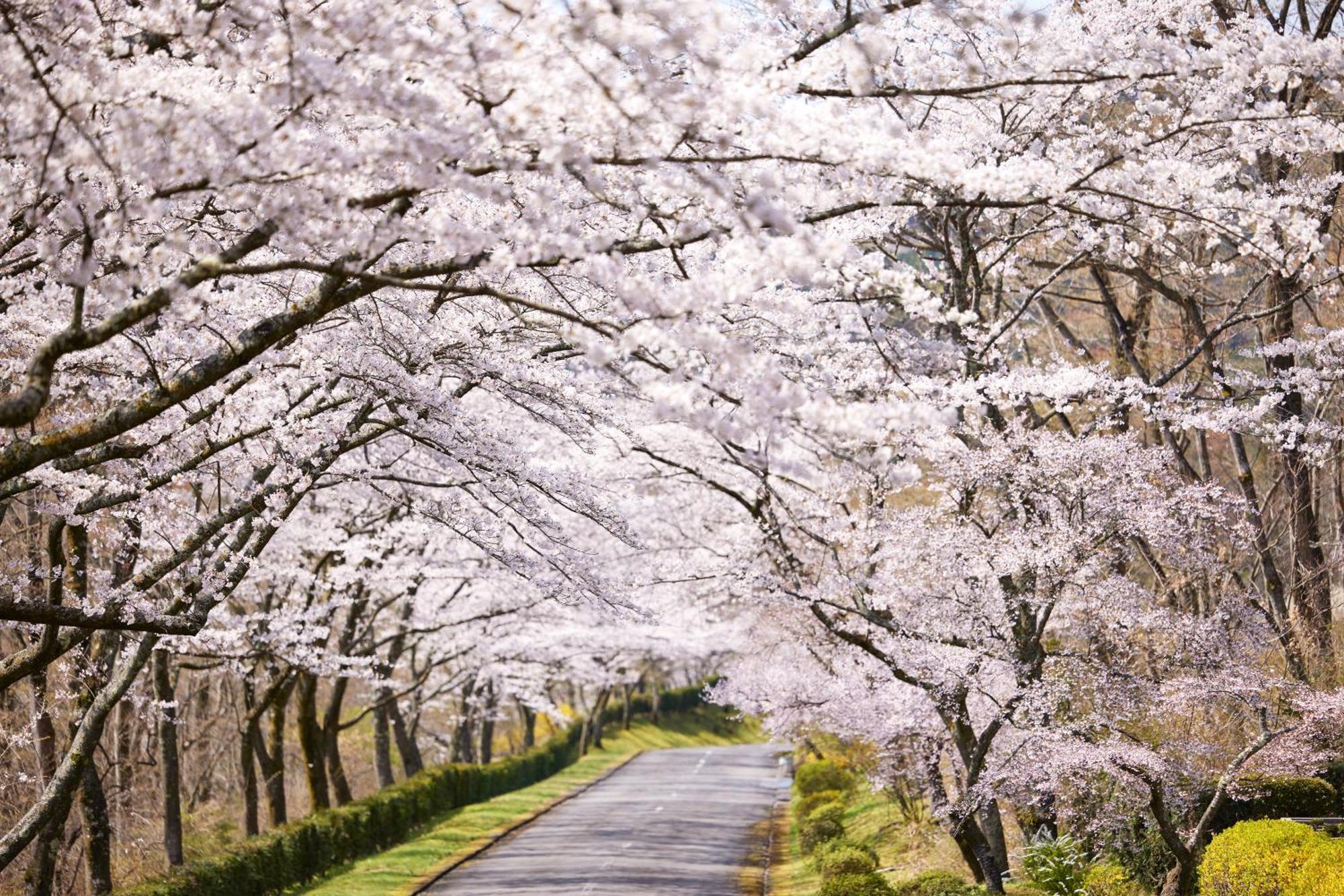 Fuji Speedway Hotel - The Unbound Collection By Hyatt Oyama  Εξωτερικό φωτογραφία